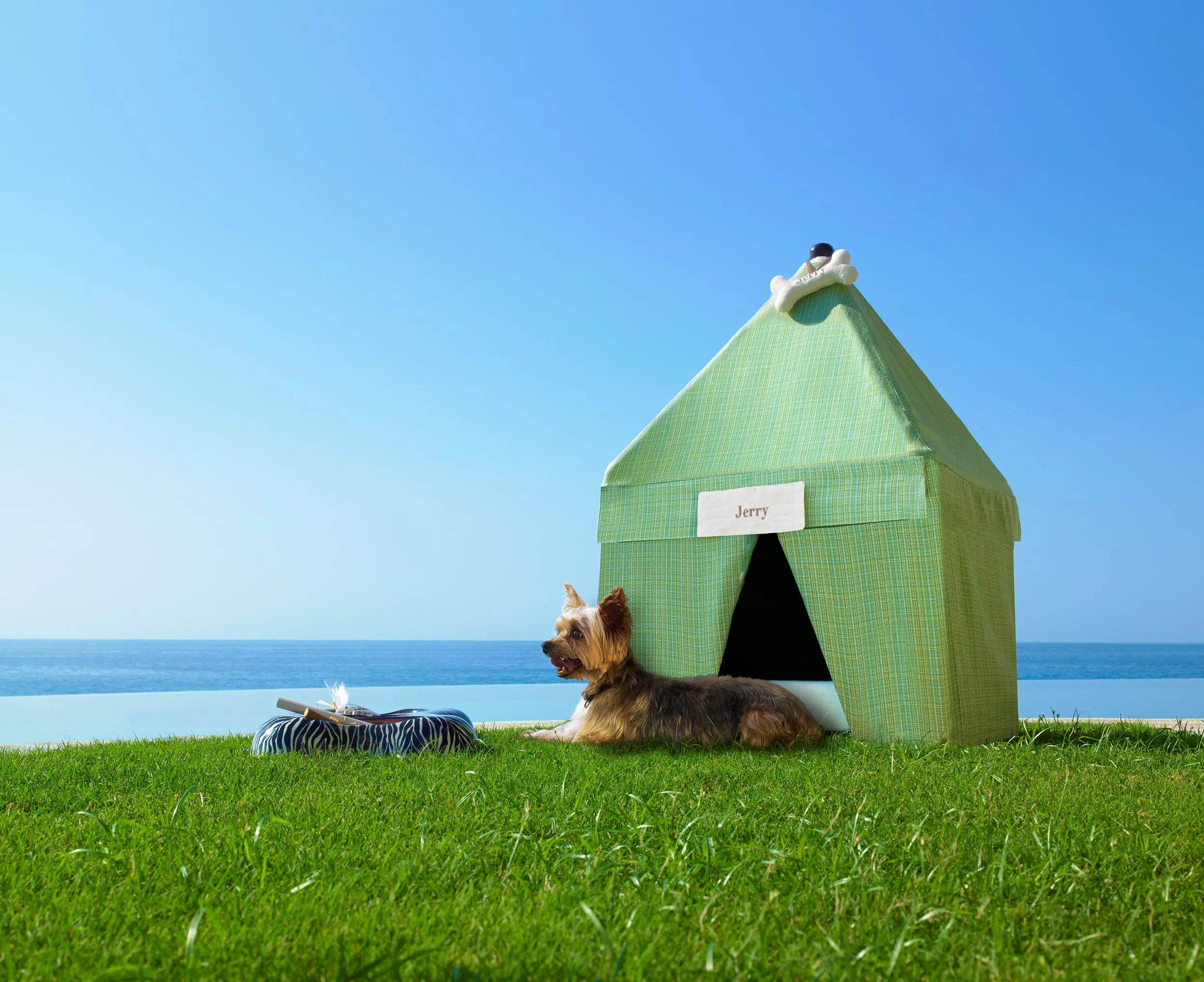 The 10 Most Luxurious Pet-Friendly Hotels and Resorts